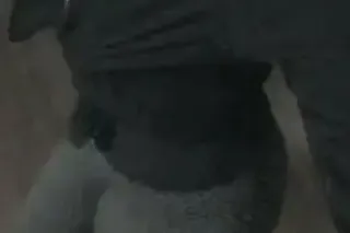 body rub and grooming for men ... - Image 2