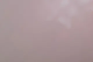 🫧The Real Red Ivy Reign🧚🏻♀ - Image 1