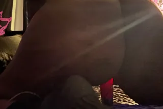 READ PLZ!!🎉 ☘ ❄ 🌳 Party FaceFuck GFE SubChick Deep Throat 🤑 Gents Only incall Nyack - Image 12