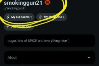 biracial plus sized beauty - Image 3