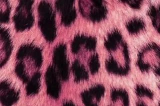 Santa sexy helper 💋💋 slurpem n gripem 😍 bbj ☀ qv special ask me about t 🩷😙 sexy thick curvy 😛 great service no rush . - Image 5