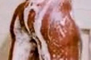 WELCOME FELLAS TO CHOKE&FUCK H... - Image 2