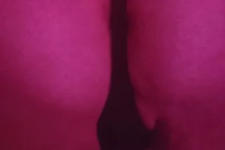 Gemini Gypsy - Image 3