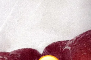 INCALL ONLY ♡ βest In Town ♡ メαναιlαвlє иσω!👅💦 😍🅓🅞🅝🅣 🅜🅘🅢🅢 🅞🅤🅣 - Image 5