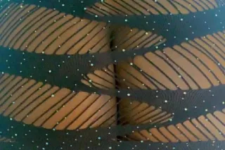 professional dick eater - 31 - Image 3