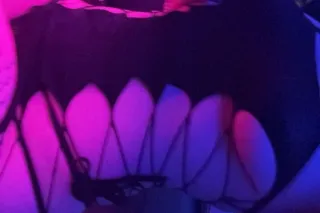 young snow bunny ready to play... - Image 2