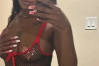 PRETTY PUSSY PARADISE 💎 - Image 6