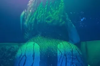 💋💋discreet LUXY incalls 💋💋dreamy here to satisfy you 😩😍 - Image 10