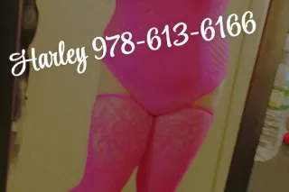 Treat Yourself With a Thicklic... - Image 1