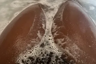 Sloppy Head Monday - Image 6