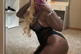 THE SEDUCTIVE DINERO READY TO PLAY 24/7 - Image 5