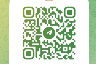 Text me my Whatsapp number 305... - Image 1