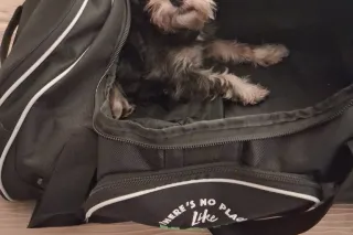 west side is the best side NO NEW CLIENTS - Image 9