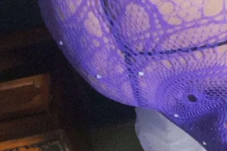 🏆💰Ms.funsize😩💦 - 20 - Image 2