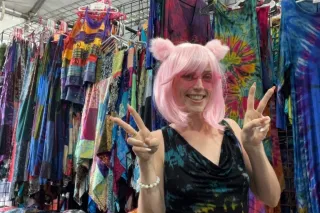 Clean Pushy and Swedish - Image 5