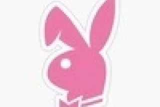 🌺HotGirlSmooches🌺 - 26 - Image 3