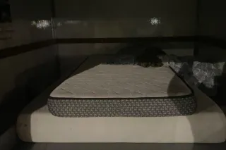 QV U-Haul incalls/outcalls - Image 10