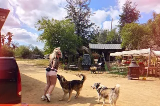 Exclusively for Select Gentleman - Image 4