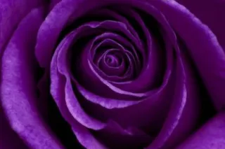 Sexy Ebony 🤭🤭🤭Hot and very ple... - Image 4