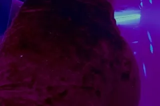 PRETTY PETITE PLAYMATE READY TO PLEASE***** INCALL SPECIALS - Image 6