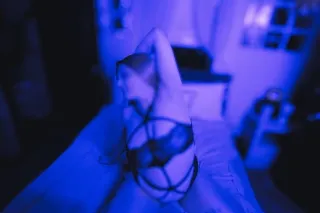 who tryna help me real fetish ... - Image 4