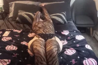 💋 Guaranteed To Reduce Stress In 100% Of Clients Seen~ Book With Me Today!! 🤩📱💋🍑💦✔ - Image 9