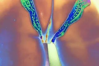 Available right now 🫦🤸🏻♀ - 34 - Image 2