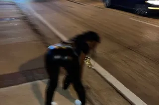 ✨REALLY REAL ✨ 24/7 - 29 - Image 2