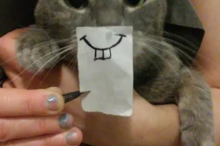 IWHOSE UP LATE AND WANTS TO PA... - Image 3