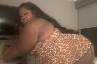 🍀Can I Be Your Lucky Pussy Poc... - Image 3