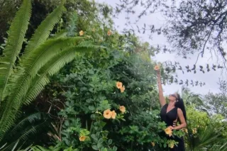 Internacional Porno Model in Miami beach. - Image 10