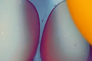 incalls 100$ qv specials hhr 1... - Image 1