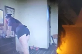 ask me about my pre spring spe... - Image 3