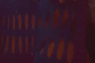 ✨ splash in my waterpark and s... - Image 4