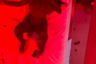 outcallls and ft shows available now ‼come see about coco😍 - Image 9