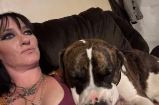 Nightlife with Lux - 42 - Image 1