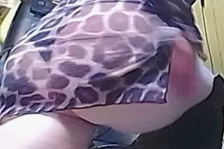 Morning Wood does the Body Good - Image 8