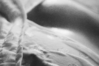 HAPPY SUNDAY!!!! QV 100 HHR MA... - Image 4