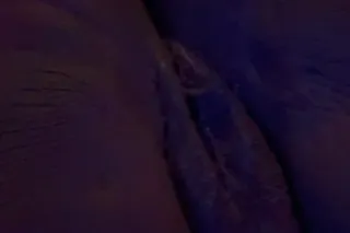 💎 $80 QV • PRIVATE INCALL • MO... - Image 2