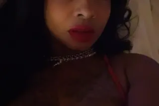 let yhe huntting games begin -... - Image 3