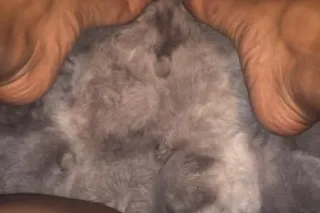 FIRST TIME FT / content specia... - Image 1