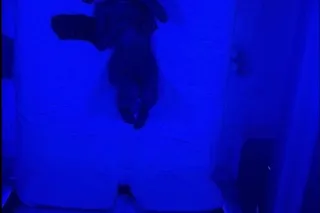 CARDATES & OUTCALLS💦 HIGHLY FAVORED🥂💓 1OO% rεaℓ!!🌸 𝒞𝓊𝓂 𝒫𝓁𝒶𝓎 - Image 5