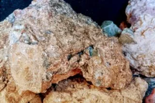 i need a boyfriend damnit - Image 2