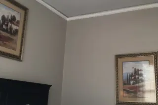 your new favorite playmate 👯♀,... - Image 2