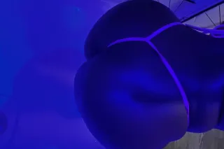 FunSize Freak 🤪 I got a tight ... - Image 2