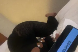 exquisite beauty intown for fun - Image 6