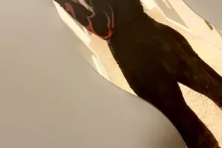 ashley winter - Image 4