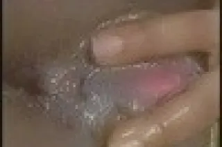 two chocolate kittens 😻 😻 😻 😻 ... - Image 3