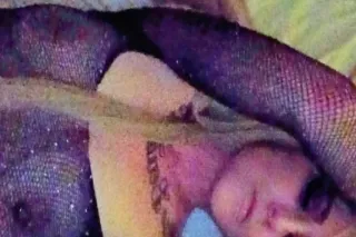 early bird special - Image 5