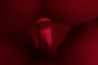 HHR/HR SPECIAL CREAMY Pretties... - Image 1